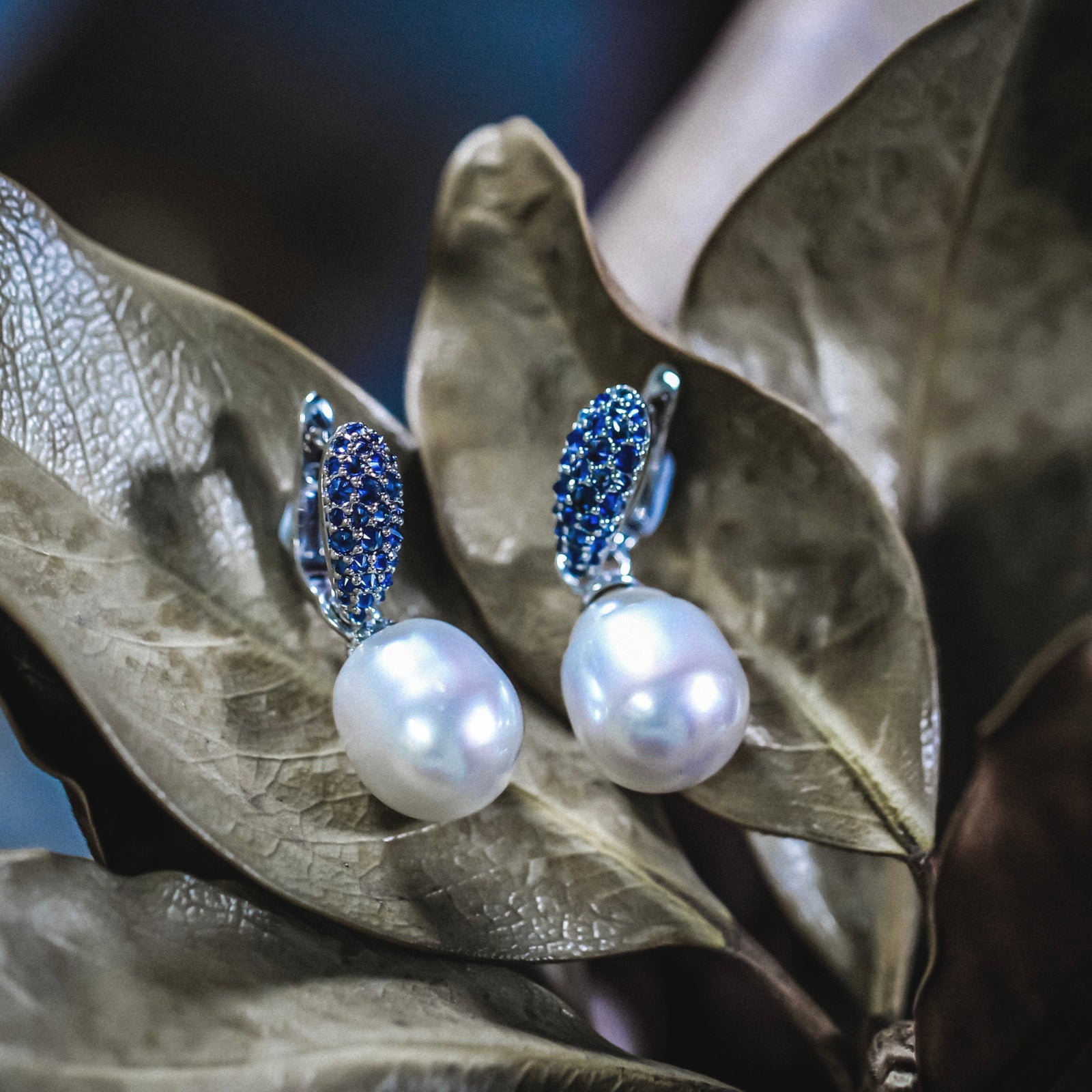 south sea pearl earrings melbourne best price