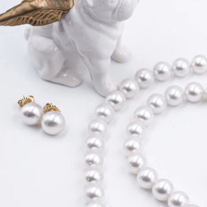 Australian South Sea Pearl Studs Earring - BU11P-14P