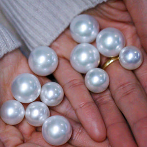 South sea pearl earrings australia available now