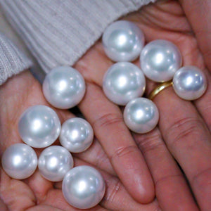 south sea pearl earrings melbourne Limited-time offer