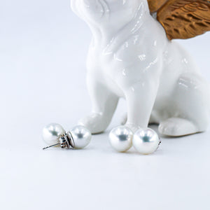 Australian South Sea Pearl Earring - SR10 P47A
