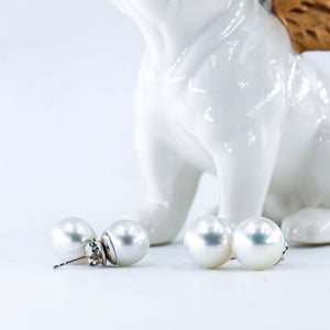 Australian South Sea Pearl Earring - SR10 P47A