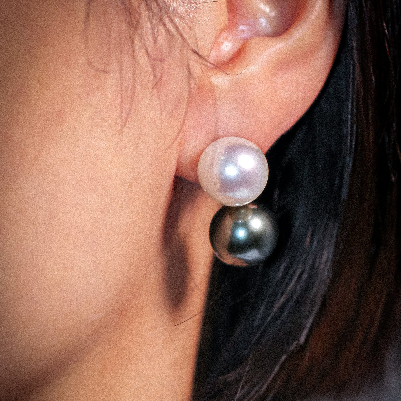 Australian South Sea Pearl and Tahitian Black Earrings - JE11 P05P