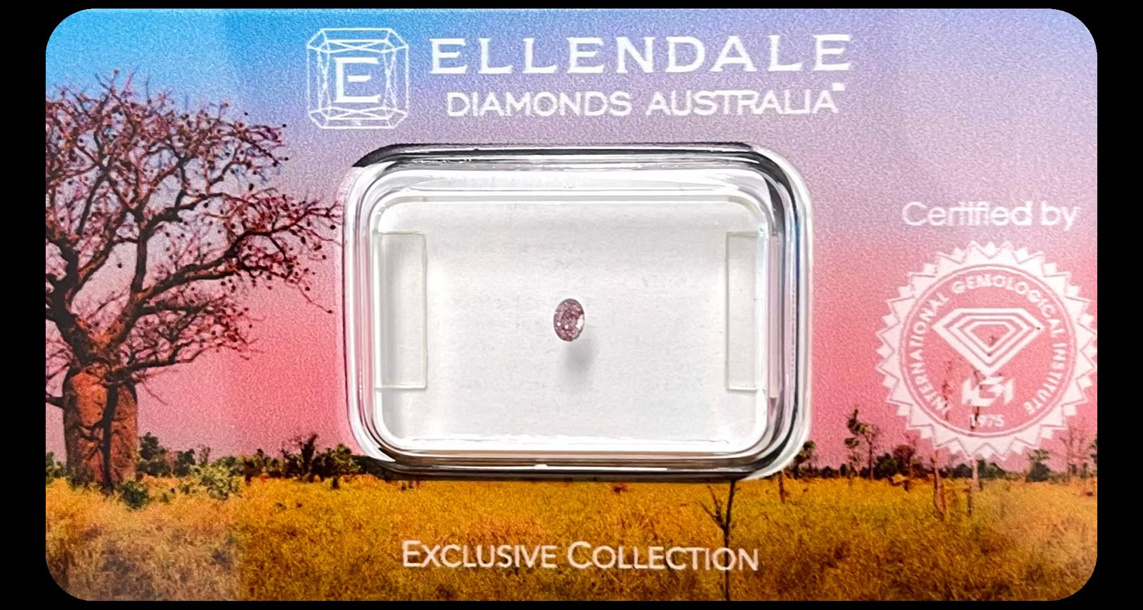 Australian Pink Diamond from WA Seal Packs - PINK/3909