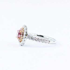 Oval cut argyle pink diamond halo rings Sydney special offer