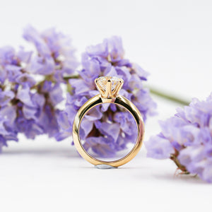 round brilliant cut diamond solitaire engagement rings perth australia best price