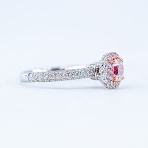 Cushion cut argyle certified pink diamond halo rings sydney exclusive offer