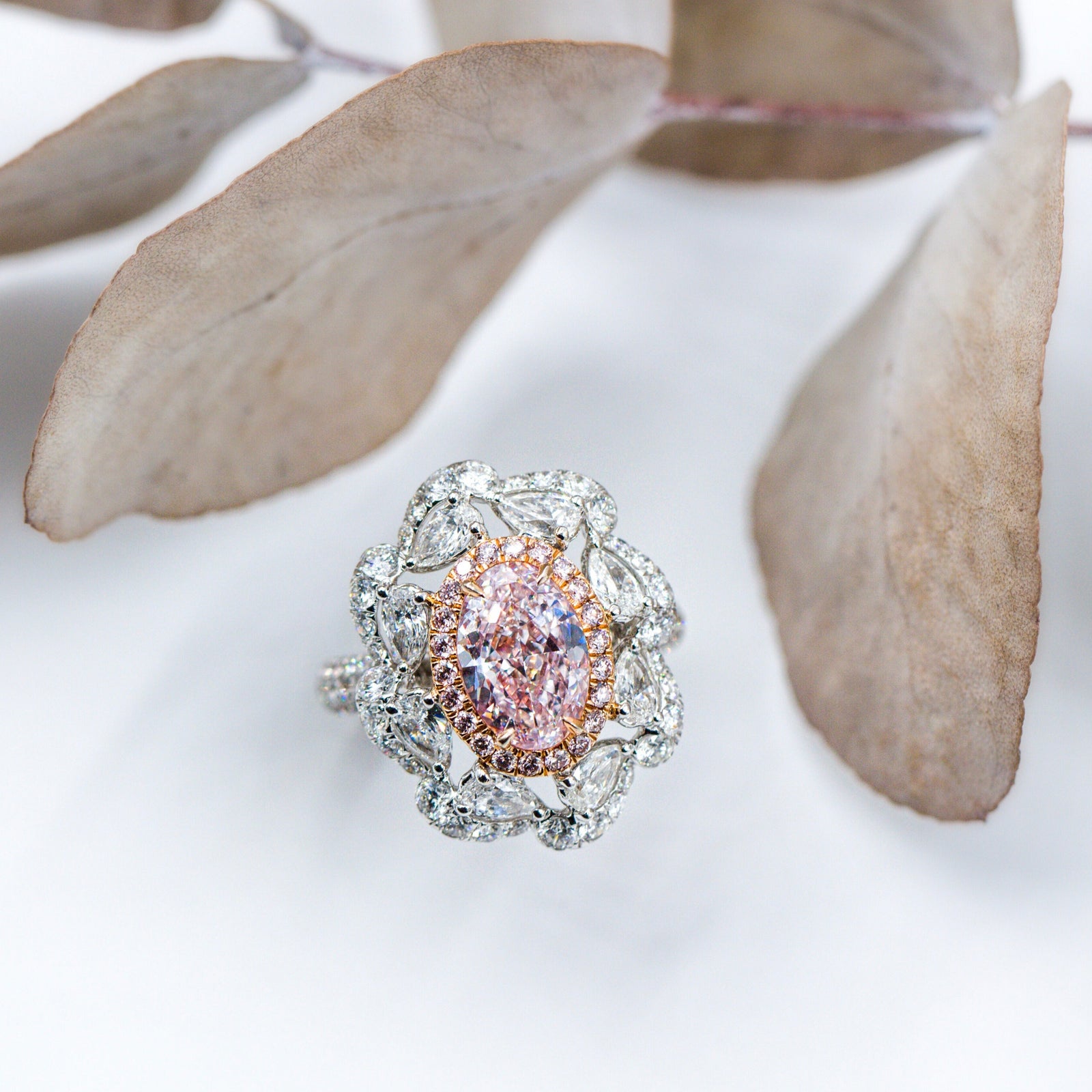 Oval cut Argyle pink diamond halo rings brisbane Exceptional value