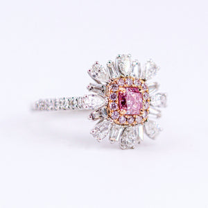 Radiant cut Argyle Pink Diamond Halo rings Perth unique design