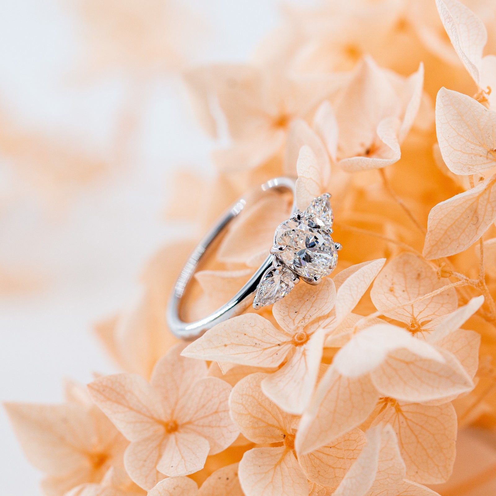 oval cut diamond three stone engagement rings sydney australia best price