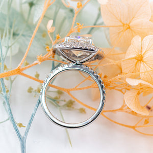 cushion cut diamond engagement rings sydney australia best price