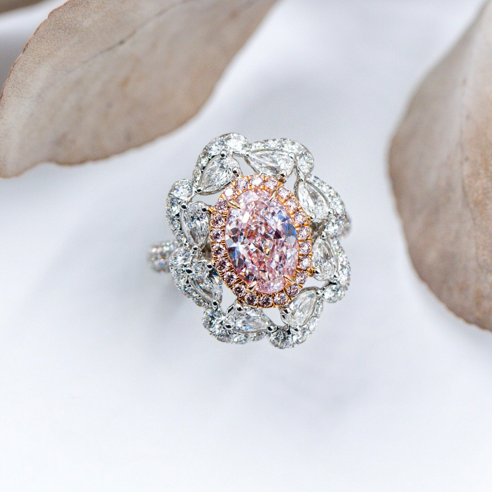 Oval cut Argyle pink diamond halo rings brisbane Exceptional value